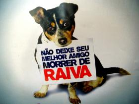 clique para ampliar