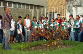 clique para ampliar