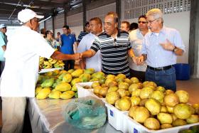clique para ampliar