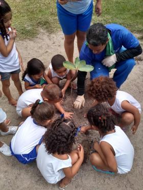 clique para ampliar