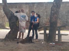 clique para ampliar